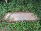 image of grave number 527392